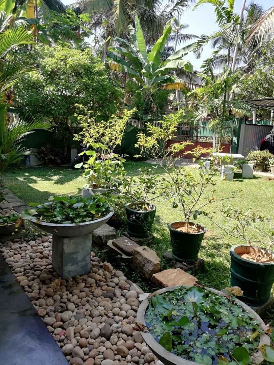 Serenity Villa Hikkaduwa Exterior photo