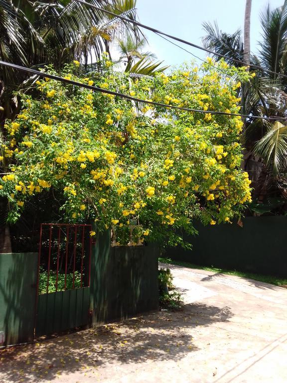 Serenity Villa Hikkaduwa Exterior photo
