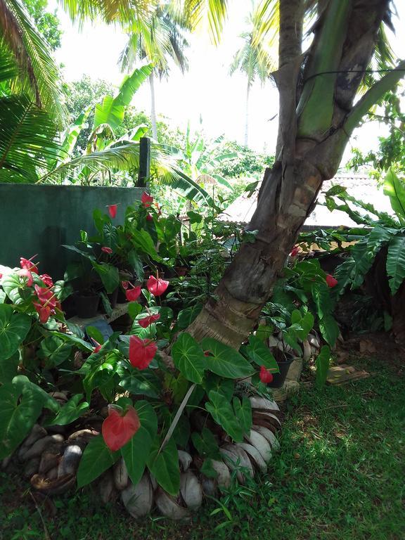 Serenity Villa Hikkaduwa Exterior photo